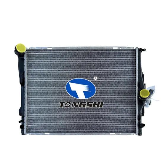Hot Sale Auto Parts Radiator Radiadores for BMW