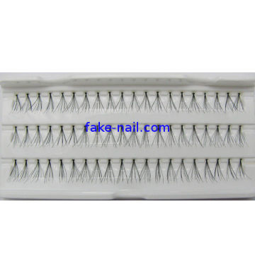 False Eyelashes