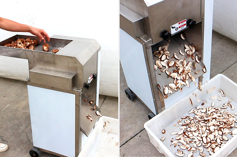 commercial mushroom slicer