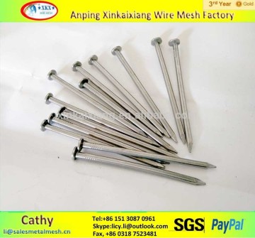 hot sale high quality square boat nails ( real factory )