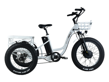 2022 best electric bike Enclosed Electric Tricycle for Sale