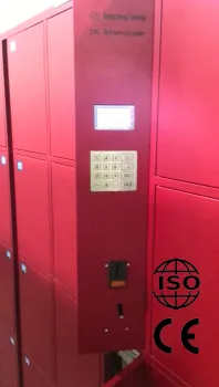 Self-Setting Password Electronic Keypad Locker (DKC)