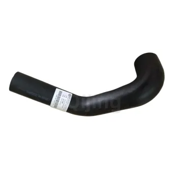 Golden Dragon Bus Radiator Inlet Hose Part: 1303006B40F0 for ZK6129KCA Model