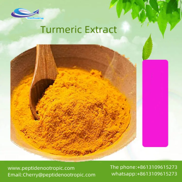 Curcuminoids Curcumin Hot Sale Pure Powder Curcumin 95%