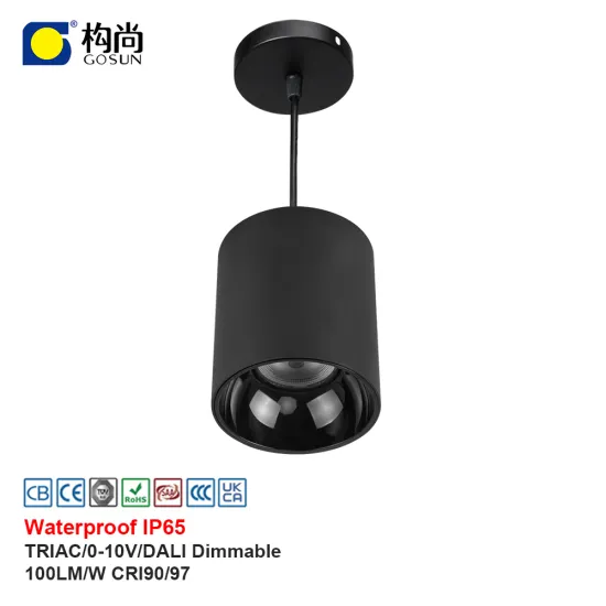 IP65 COB LED Suspended Pendent Lamp for Hotels - 8W to 42W