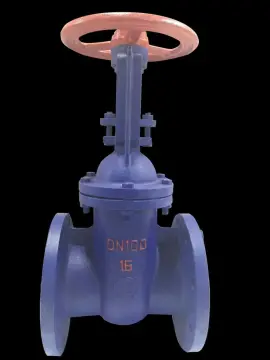 Stainless Steel Steam Globe Valve Flange Gate Valve