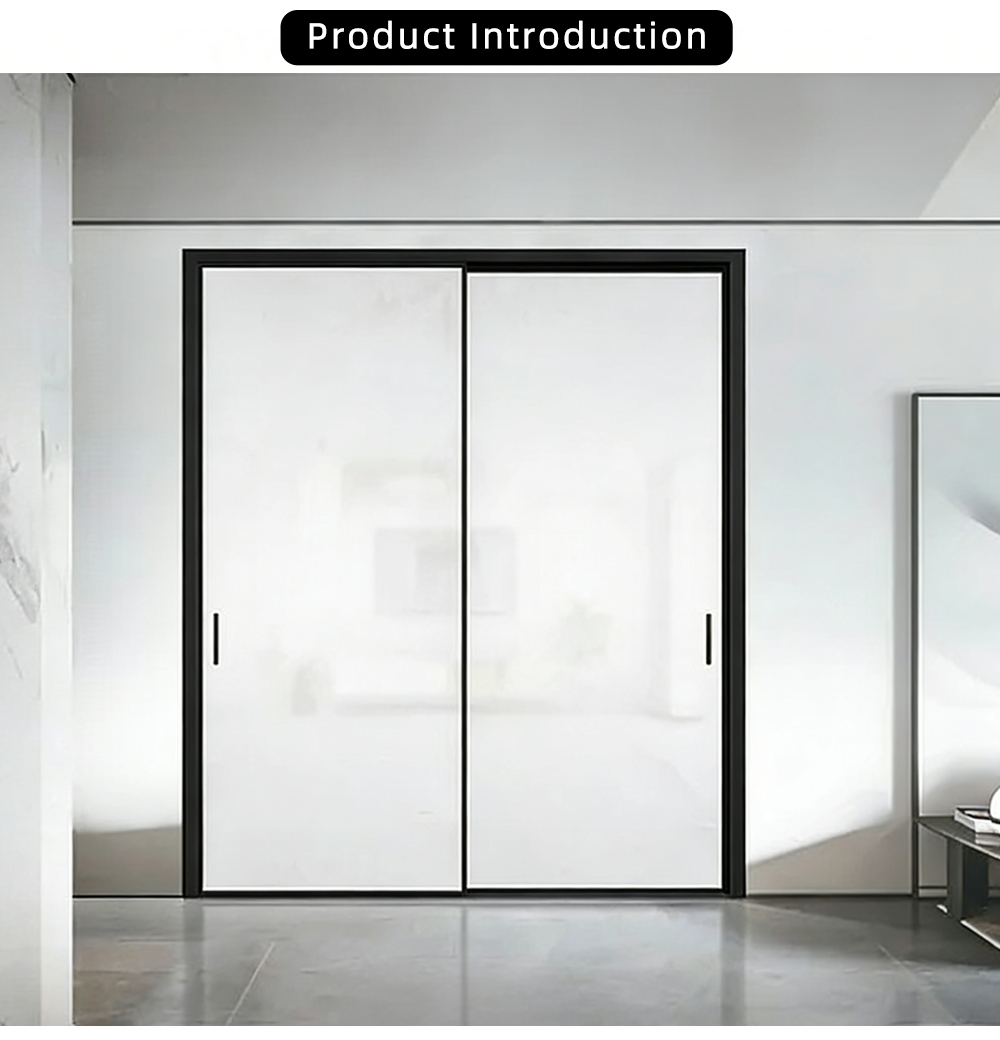 Double Panel Frosted Glass Sliding Door YJ-R026 X
