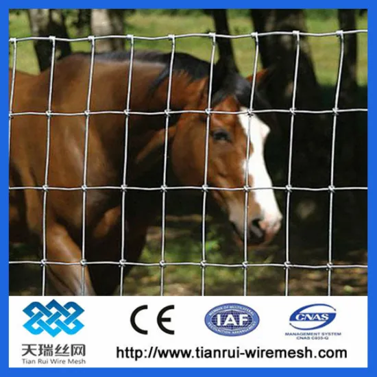 Livestock Horse & Cattle Fencing