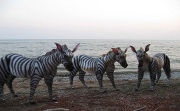 Zebra-Shaped Lantern