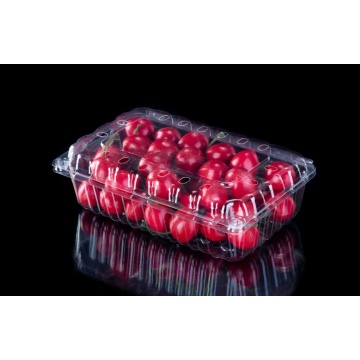 Clear Plastic Container for Fruit Packaging