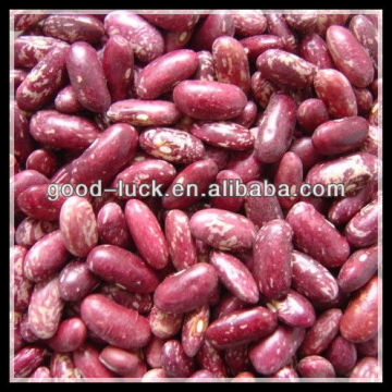 Red Speckled Kidney Bean ,Dried Bean