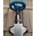 titane forgé DN25 DN50 Globe Valve