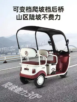 Customizable New Energy Electric Tricycles and Tuk Tuks