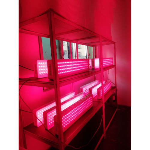Red&NIR therapy light 300W cob led therapy light