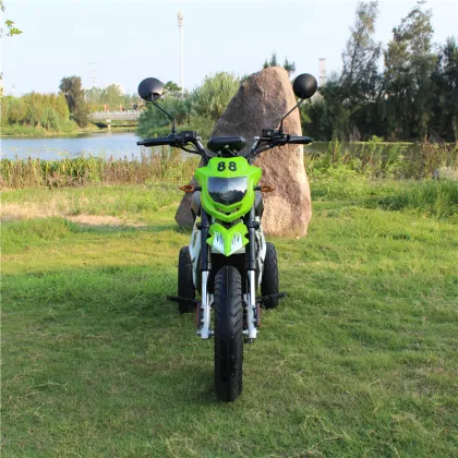 electrical trike cycles electric Trike bike sport model