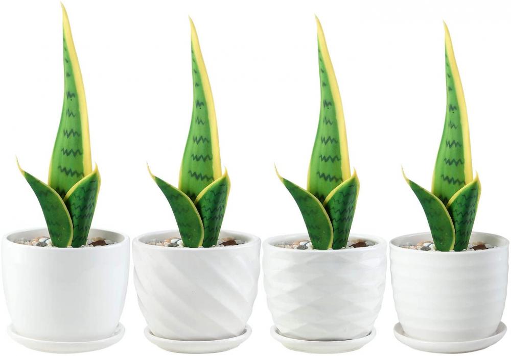 4.7 Inch Cylinder Ceramic Planters