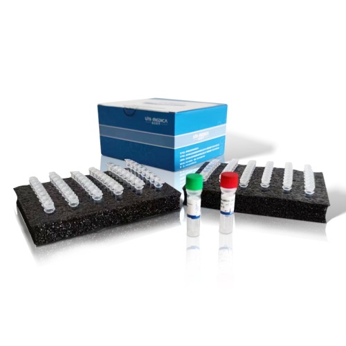 Multiplex Real Time PCR Kit for Carbapenem Resistance Gene