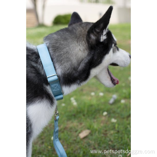 Heavyduty Nylon Dog Collar Extra Large