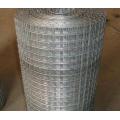 Bird Cage Stainless Steel Galvanized Welded Wire Mesh