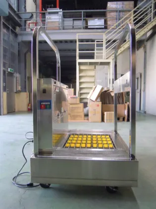 Clean shoe sole washing device