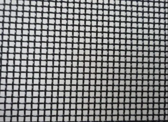 6 Mesh Stainless Steel Wire Mesh