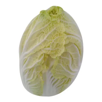 Chinese Green Vegetable Cabbages, Pollution-free, 25cm Length