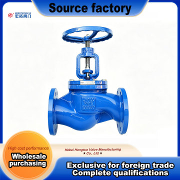 DN100 Flange Globe Valve