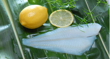 Rock sole fillet