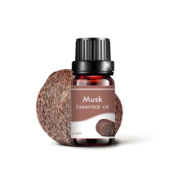 Logotipo personalizado de vendas a quente 10ml Pure Musk Essential Oil Aroma