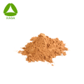 Feed Grade Natural Bubble Leaf Algae Extract Powder