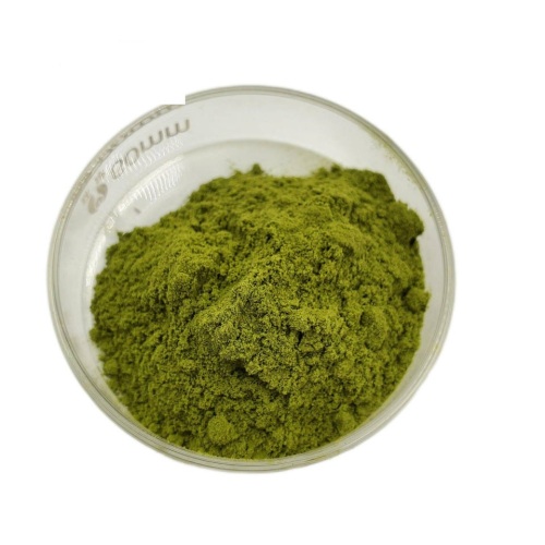 Dry Mint Powder Peppermint Powder