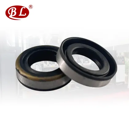 Iron Shell Oil Seal Search Engine