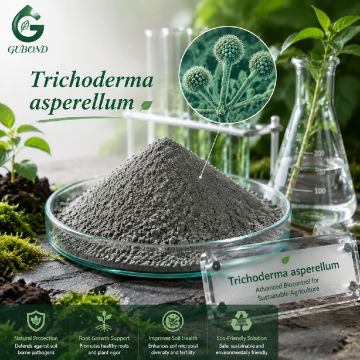 مسحوق الجراثيم الفطرية Trichoderma Asperellum للزراعة