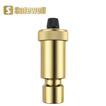 Auto air vent