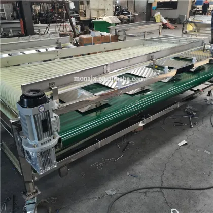 Jujube Pitting, Date Sorting, Date Palm Processing & Red Dates Grading Machine Prices