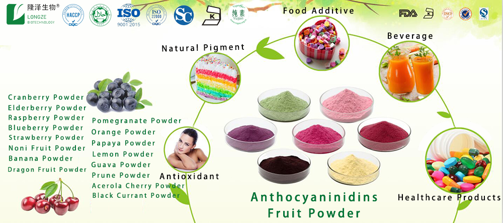 fruit-vegetable powder