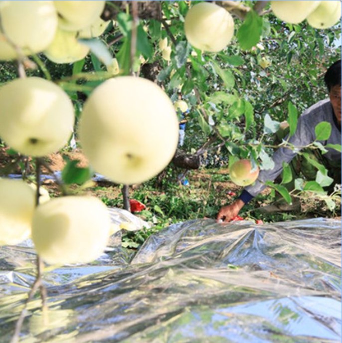 hydroponic mylar film