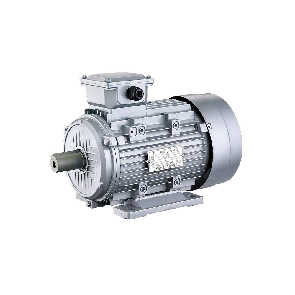 Permanent magnet synchronous motor07-y