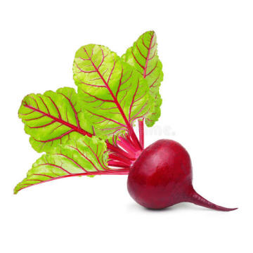 Purifying The Blood Natural Beetroot Extract Powder