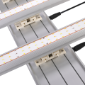 1000w LED는 원예 조명을 위해 빛을 자랍니다.