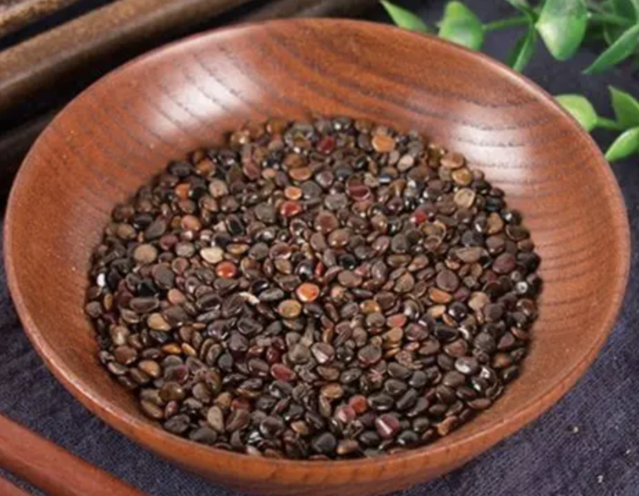 Citrus Aurantium Extract Supplier