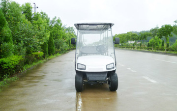 10 seater golf cart