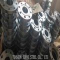 Stainless Steel Flanges Forgings