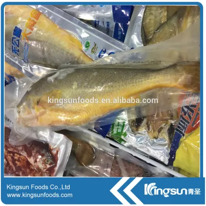 Frozen Yellow Croker