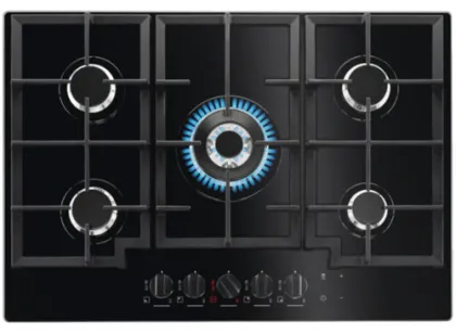 AEG Hob Plate Kitchen Appliances Germany