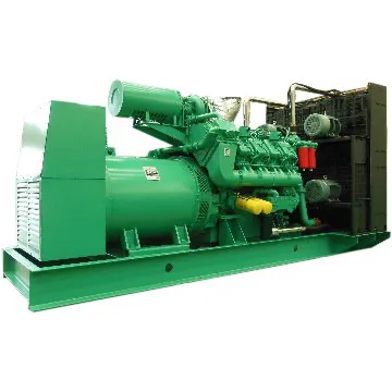 Googol Diesel Engine Container Silent 900kW Generator