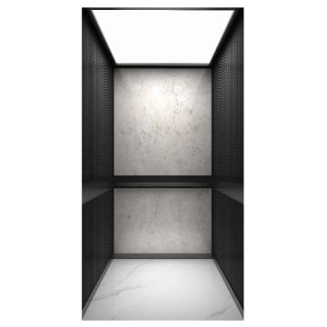 Metall 3D -gedruckter Edelstahlvilla -Aufzug