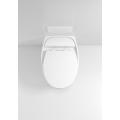 White Finish Wall Hung Water Closet Toilet