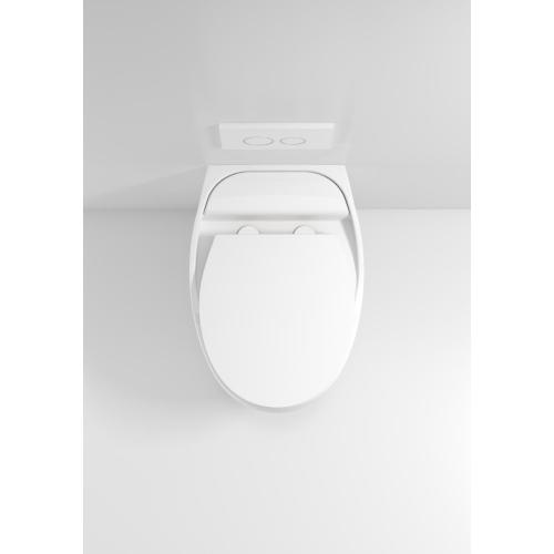 White Finish Wall Hung Water Closet Toilet