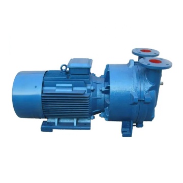 2BV5121 Water Ring Vacuum Pump